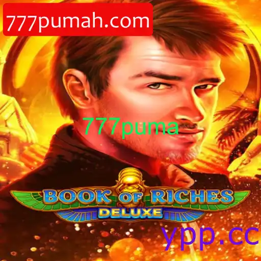 BookofRichesDeluxe